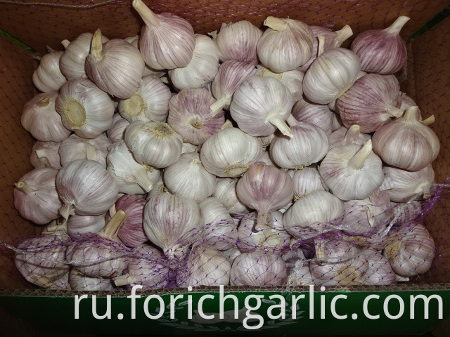 Normal White Garlic Of Crop 2019